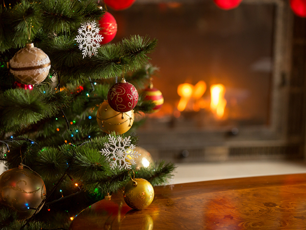 A Home for the Holidays